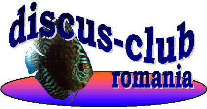 symphysodon discus